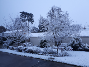 Jardin sous la neige